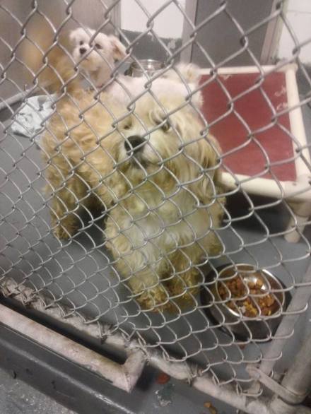 East Orange Shelter Photo 4