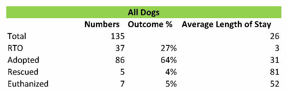 All Dogs Perth Amboy 2014