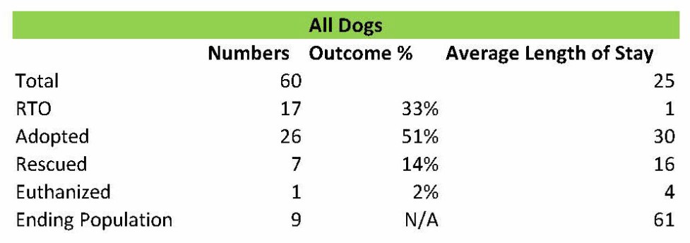 Perth Amboy 2015 Dogs