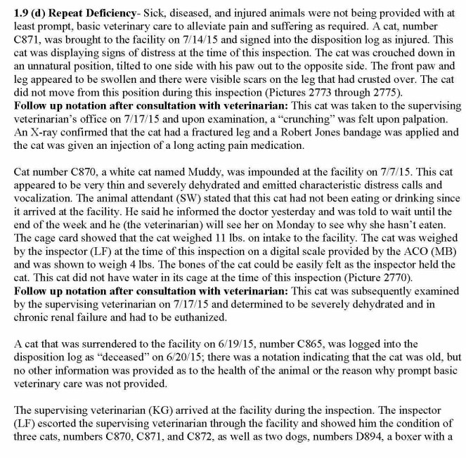 Prompt Vet Care Not Provided 1