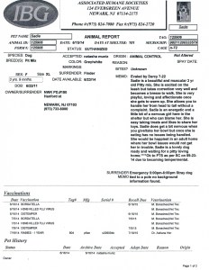 ID 125906 Dog Killed Aggression