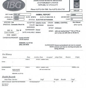 ID 129063 OS Cat Killed for Feral