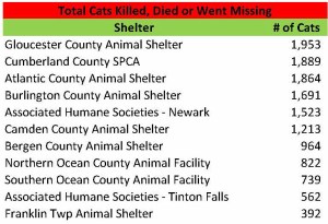 Total Killed Died 2014 Cats