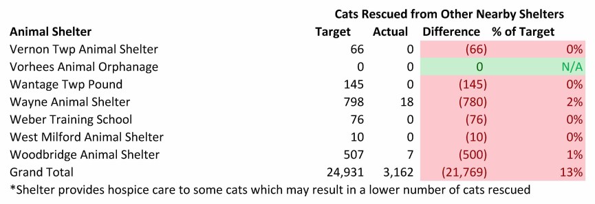 2014 rescued cats (3)