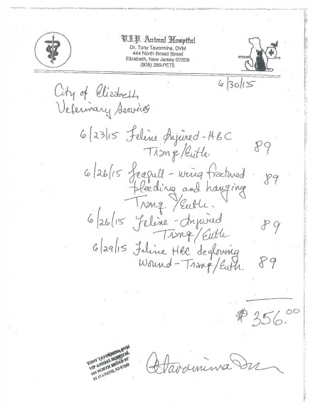 Elizabeth Vet Invoice