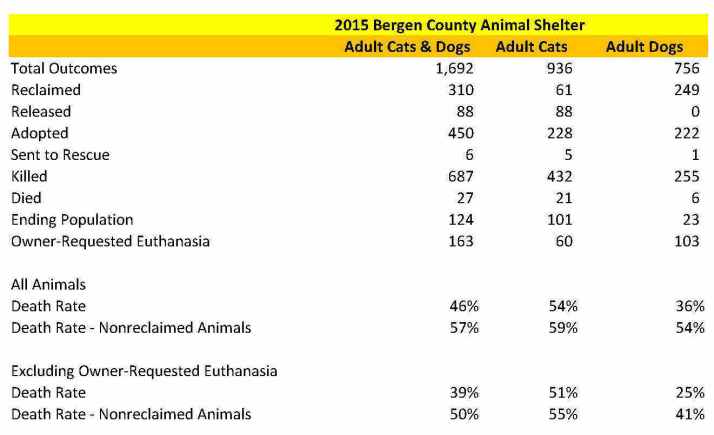 Bergen Adult Animals 2015