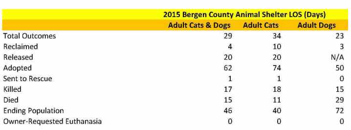 Bergen Adult Animals LOS