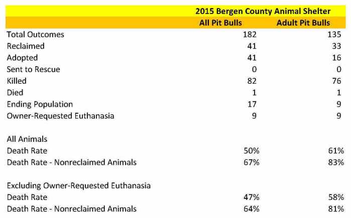 Bergen Pit Bull Data