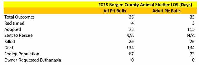 Bergen Pit Bulls LOS
