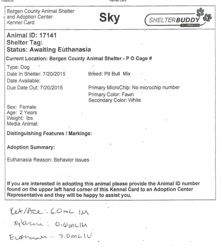 17141 ORE Behavior Pt 2.jpg