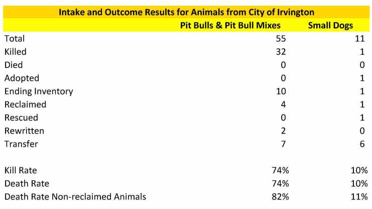 AHS Irvington 2015 Pit Bulls and Small Dogs Stats