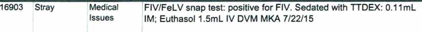 Cat 16903 Killed for FIV