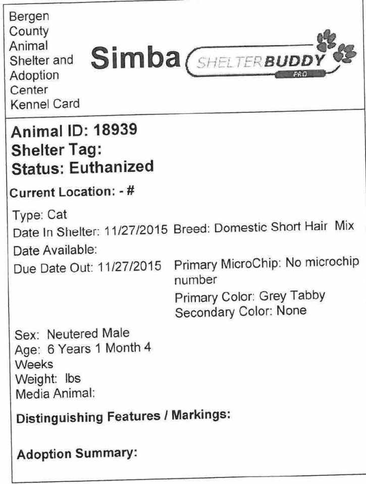 Cat 18939 Killed FeLV PT2.jpg