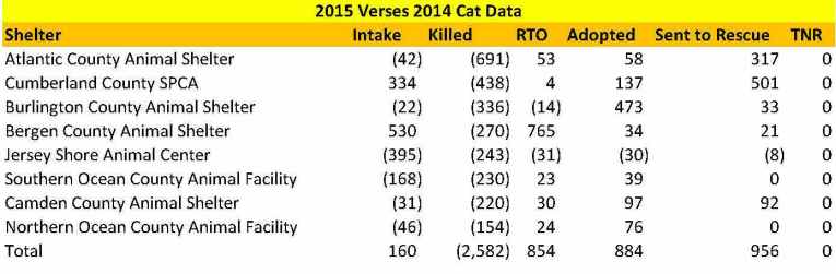 Cats shelter 2015 vs 2014