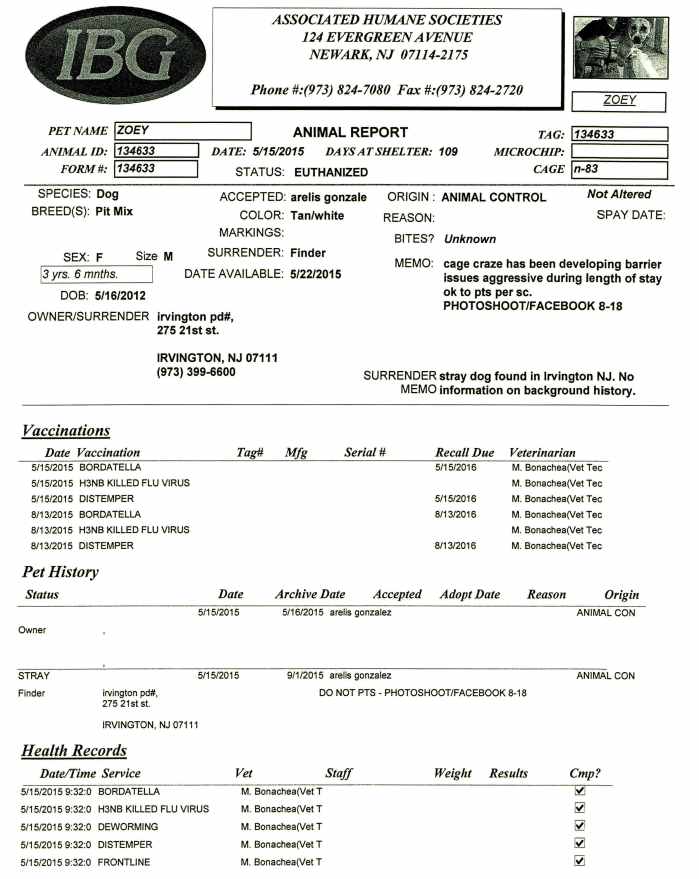 Dog ID 134633 pt 1.jpg