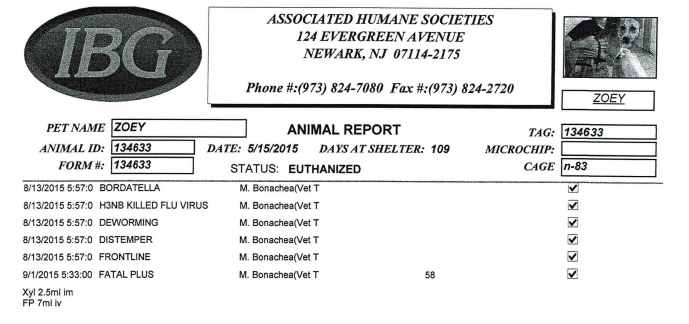 Dog ID 134633 pt 2.jpg