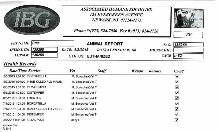 Dog ID 135258 Pt 2.jpg