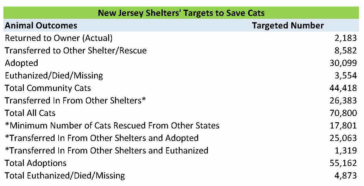 2015-cat-model-summary