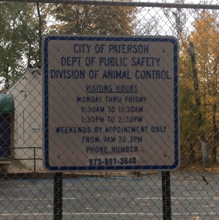 Paterson Animal Shelter Hours.jpg