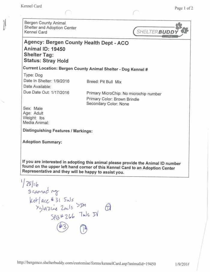 19450 Killing Record.jpg