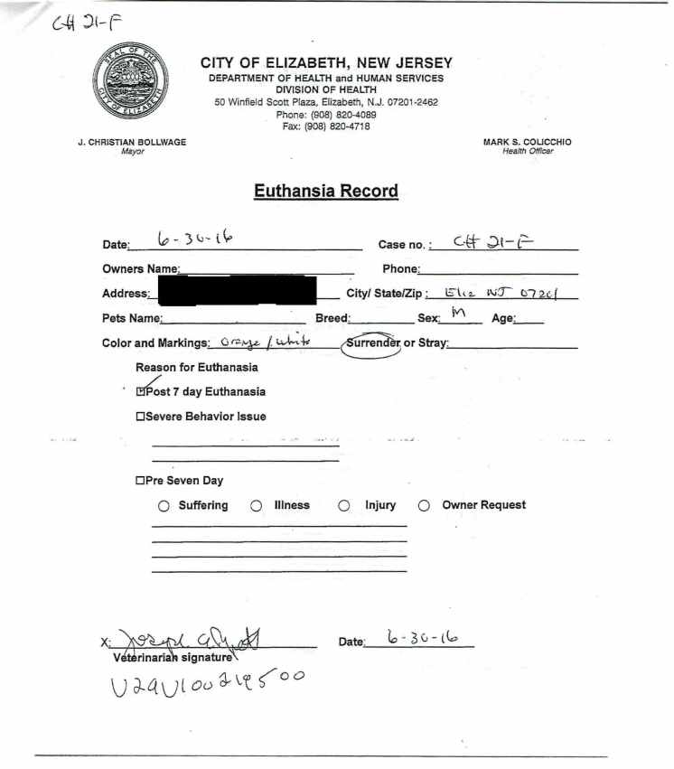 Cat 21-F Kill Record.jpg