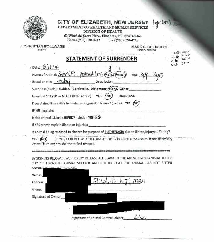 Cat 21-F Surrender Form