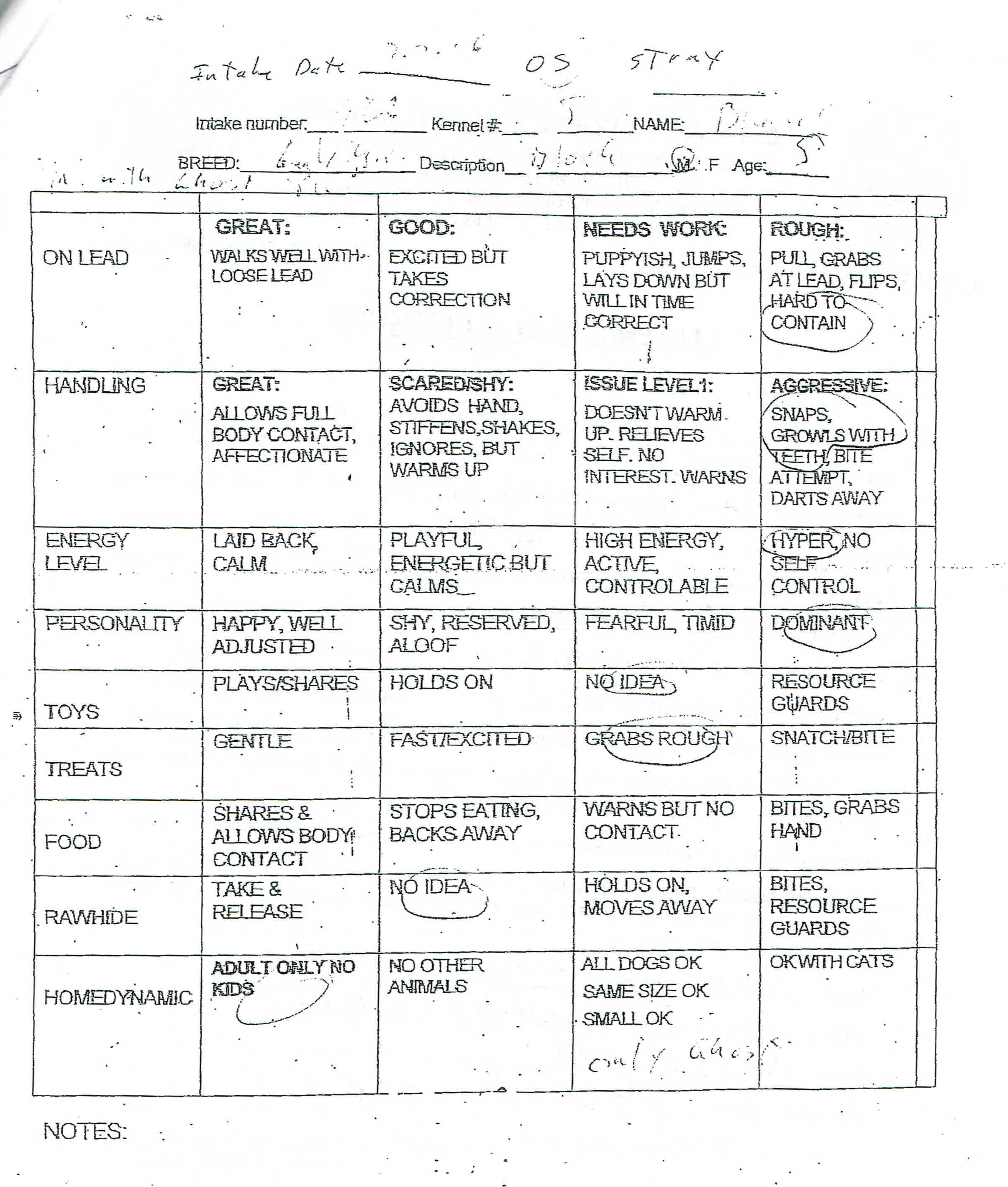 Dog 9-G Evaluation.jpg