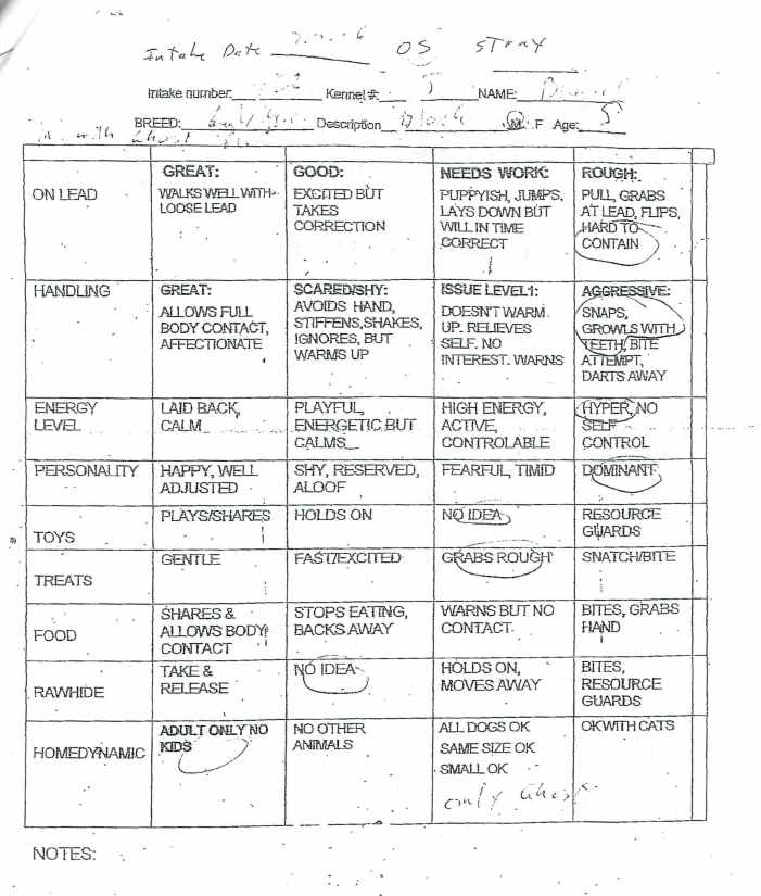 Dog 9-G Evaluation.jpg