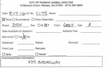 C175 Kennel Card.jpg