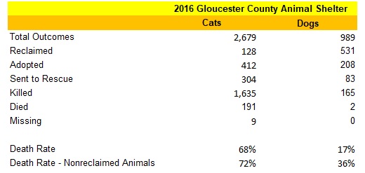 GCAS 2016 Dog and Cat Statistics.jpg