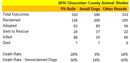 GCAS 2016 Dog Statistics