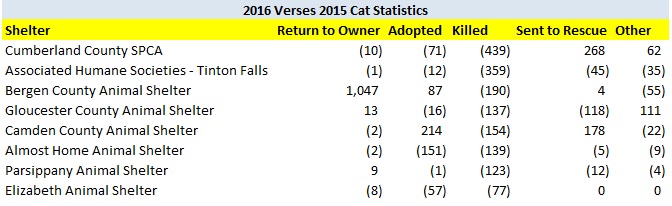 2016 Verses 2015 Cat LR Improve Shelter Outcomes.jpg