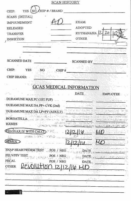 GCAS 243349 pt 2 (2)