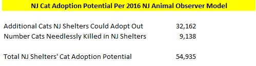 NJ Cat Adoption Potential - NJ Animal Observer Model