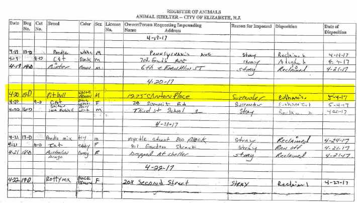 15-D Dog Killed at Ellizabeth Animal Shelter