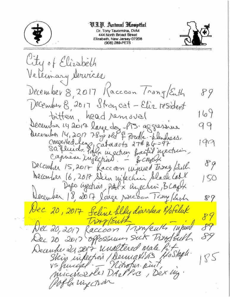 18-K Elizabeth Animal Shelter Veterinary Invoice