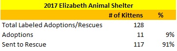 2017 Elizabeth Animal Shelter Kittens Sent to Rescue and Adopted