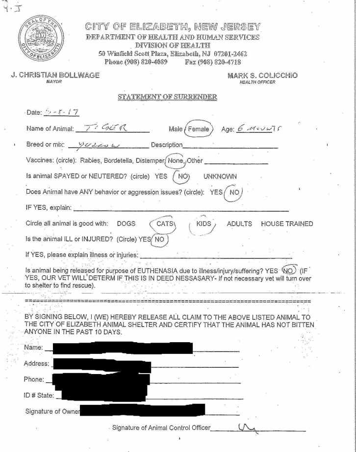 4-J Cat Elizabeth Animal Shelter Surrender Form.jpg