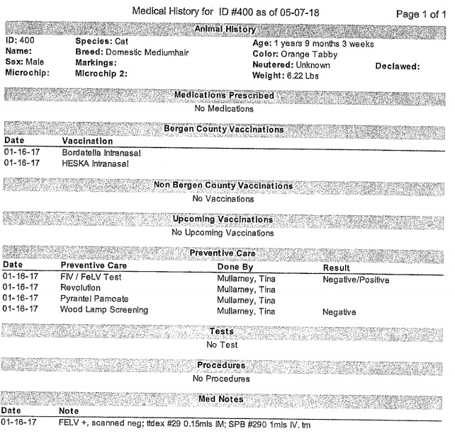 Cat ID 400 pt 2.jpg