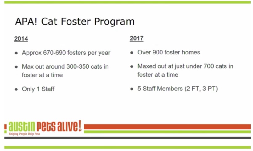 APA Cat Foster Program Size