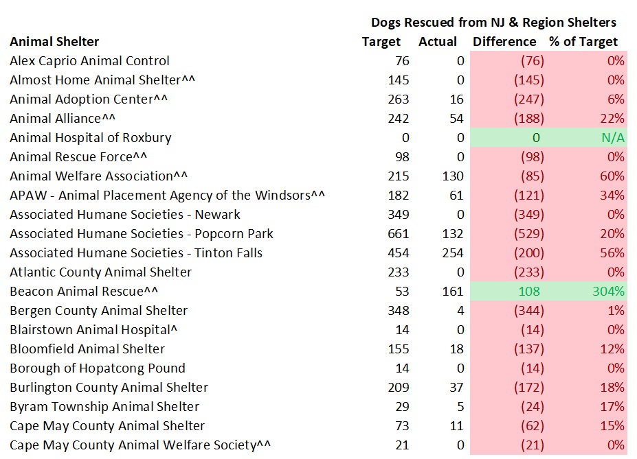 2018 Dog Model Rescue Dogs 1.jpg