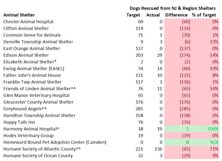 2018 Dog Model Rescue Dogs 2.jpg