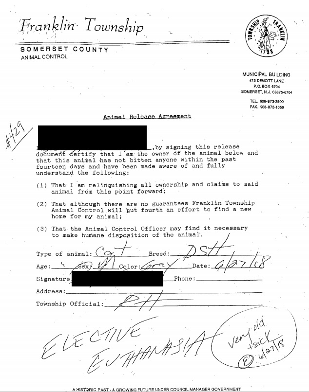 Cat ID 429 Illegally Killed FTAS 1.jpg