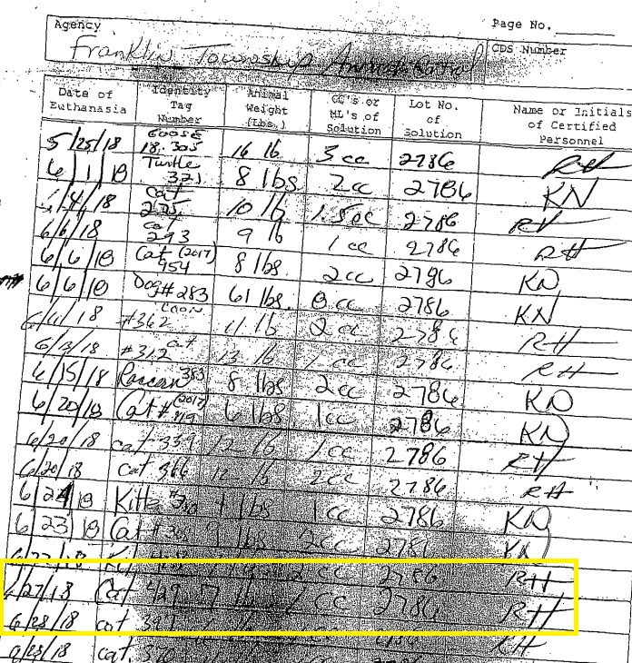 Cat ID 429 Illegally Killed FTAS 3.jpg