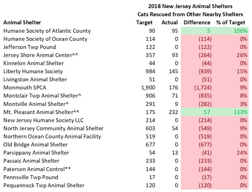 2018 NJ Shelter Model Cats Rescued 3.jpg