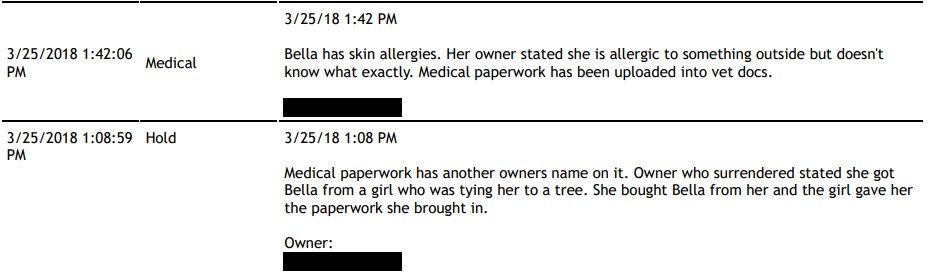 Bella Dog ID 23675 NYACC BH1.jpg