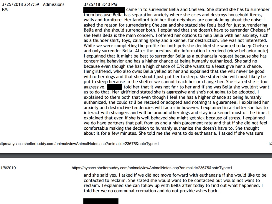 Bella Dog ID 23675 NYACC BH3.jpg