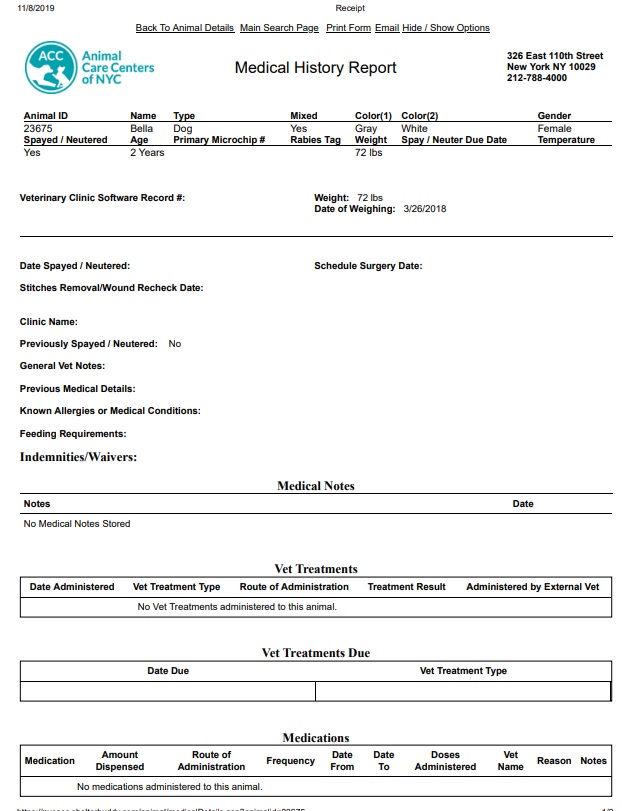 Bella Dog ID 23675 NYACC MH1.jpg