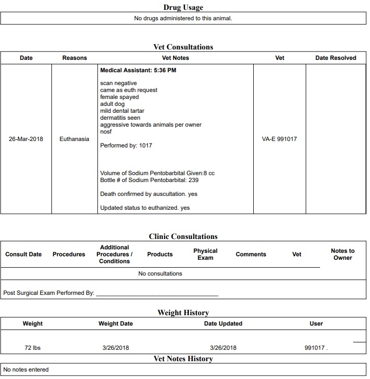 Bella Dog ID 23675 NYACC MH2.jpg