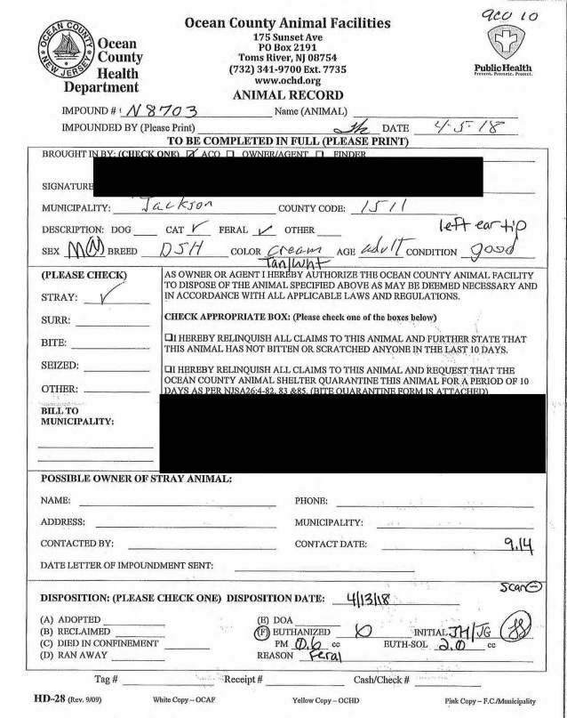 OCAF -N8703 Cat Killed